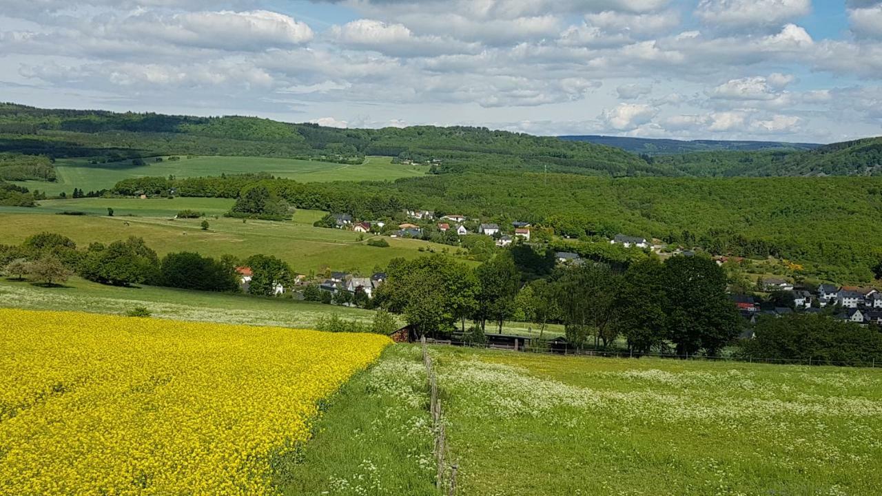 Ferienwohnung Brillant am Nationalpark Hunsrück-Hochwald Hettenrodt Exterior foto